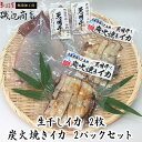 【ふるさと納税】イカ 干物 生干しイカ 2枚(1枚約200g×2枚） 炭火焼きイカ 2パック 詰め合わせ セット 青森 いか するめ スルメ スルメイカ 国産 海鮮 魚介類 魚介 海産物 惣菜 青森県 ※ ご入金確認後 3ヶ月以内の発送になります。　 青森県鰺ヶ沢町