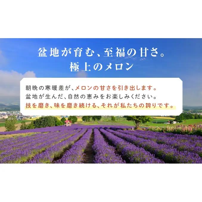 【2026年夏発送】富良野 赤肉 メロン 2玉入 計4kg前後 大玉 北海道