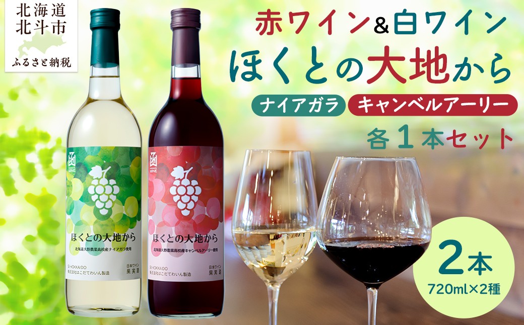 
            ほくとの大地から キャンベル・アーリー赤とナイアガラ白のセット 各720ml 【 ふるさと納税 人気 おすすめ ランキング ワイン 赤ワイン 白ワイン ライト 720ml 葡萄 ぶどう キャンベルアーリー 果実酒 お酒 セット 詰合せ ギフト 贈答 贈り物 プレゼント お祝い 北海道 北斗市 送料無料 】 HOKJ007
          