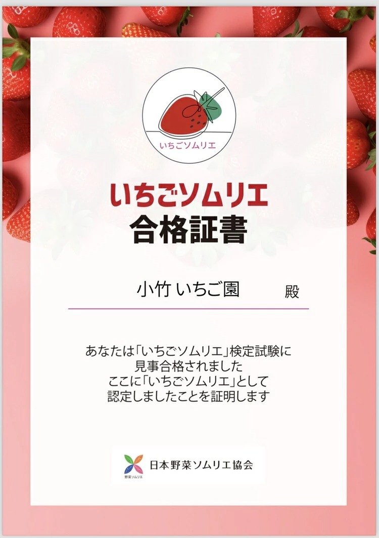 《数量限定》紅白セット（とちあいか・ミルキーベリー） 270g×2パック 540g以上 ｜いちご イチゴ 苺 先行予約 栃木県 果物 くだもの フルーツ デザート  ※2027年1月～発送_イメージ4