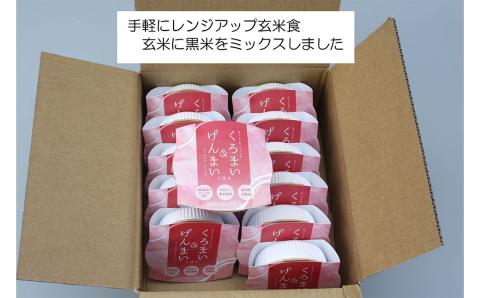 【令和6年産米】【3ヶ月定期便】【お手軽玄米】くろまい＆げんまい パックご飯150g 12個入り×3ヶ月（特別栽培コシヒカリを使用） 1039006｜玄米 黒米 アントシアニン 健康志向 便利 簡単 