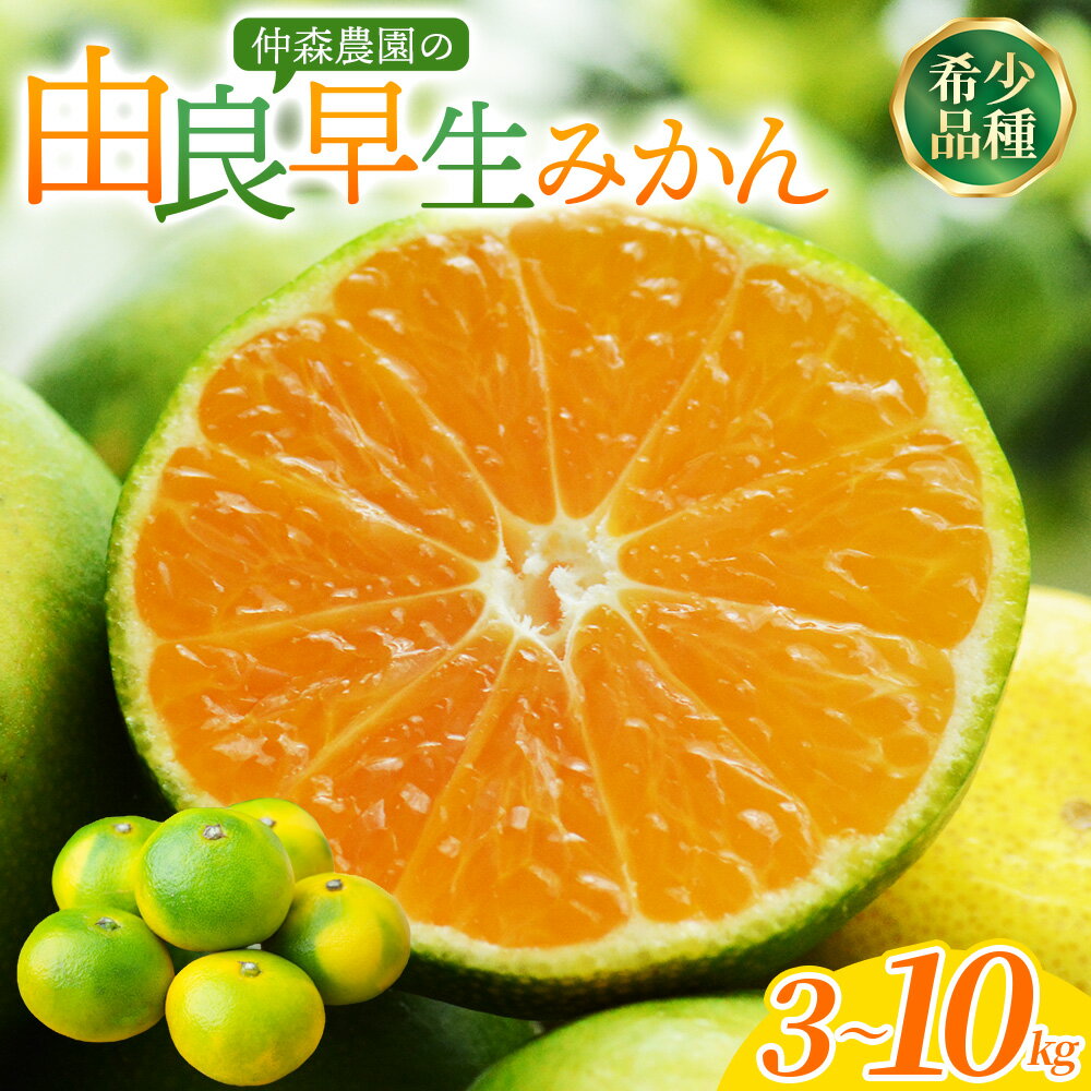 【ふるさと納税】仲森農園の由良早生みかん 3kg 5kg 7kg 10kg 選べる 容量 みかん ミカン 蜜柑 温州みかん 温州ミカン 柑橘 フルーツ 果物 くだもの 早生 甘い 旬 希少 数量限定 期間限定 産地直送 三重県 熊野市 送料無料【2026年11月上旬頃～11月中旬頃に順次発送】