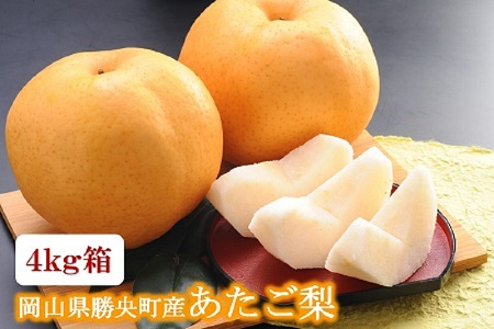 岡山県 勝央町産 あたご梨 4kg箱(4～5玉) ＜12月上旬発送＞ _A21