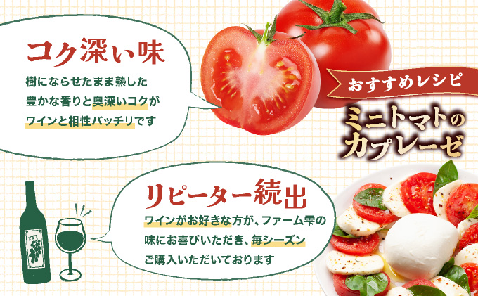 【先行販売】【ファーム雫】ワインに合わせるミニトマト赤 ２kg【a127-003】