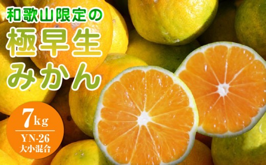
            EA6106_和歌山県限定の極早生みかん 7kg (YN-26 大小混合)
          