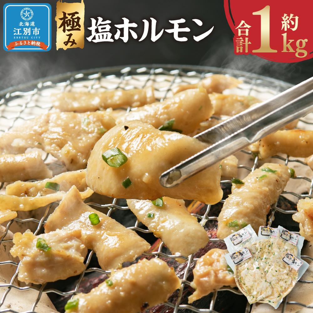 【ふるさと納税】極み塩ホルモン 1kg(200g×5袋) | 肉 お肉 にく 食品 北海道産 人気 おすすめ 送料無料 ギフト