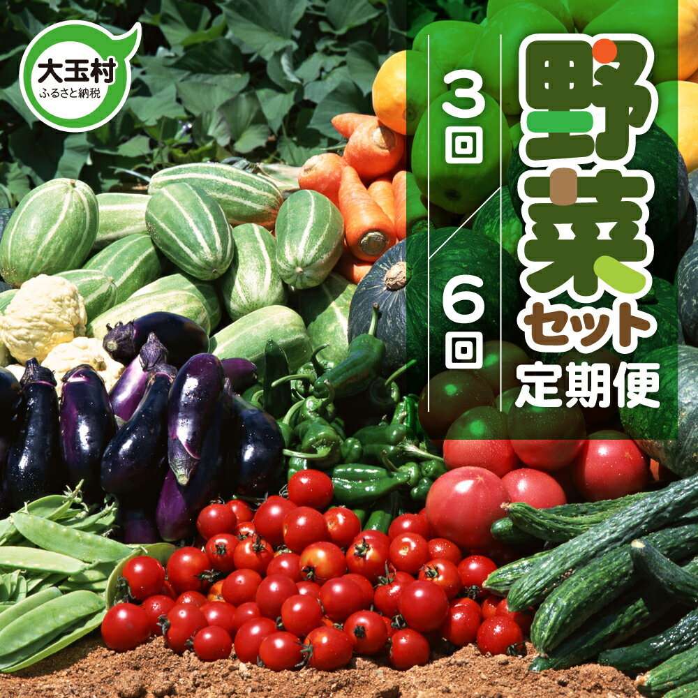 【ふるさと納税】回数を選べる！【3回／6回 定期便 】　野菜セット ( 10種類前後 ) お試し 旬 野菜セット 3回 6回 採れたて 新鮮 おまかせ 詰め合わせ 産地直送 SDGs 炒め物 サラダ グリル 煮物 スープ 鍋 送料無料 福島県大玉村 01107