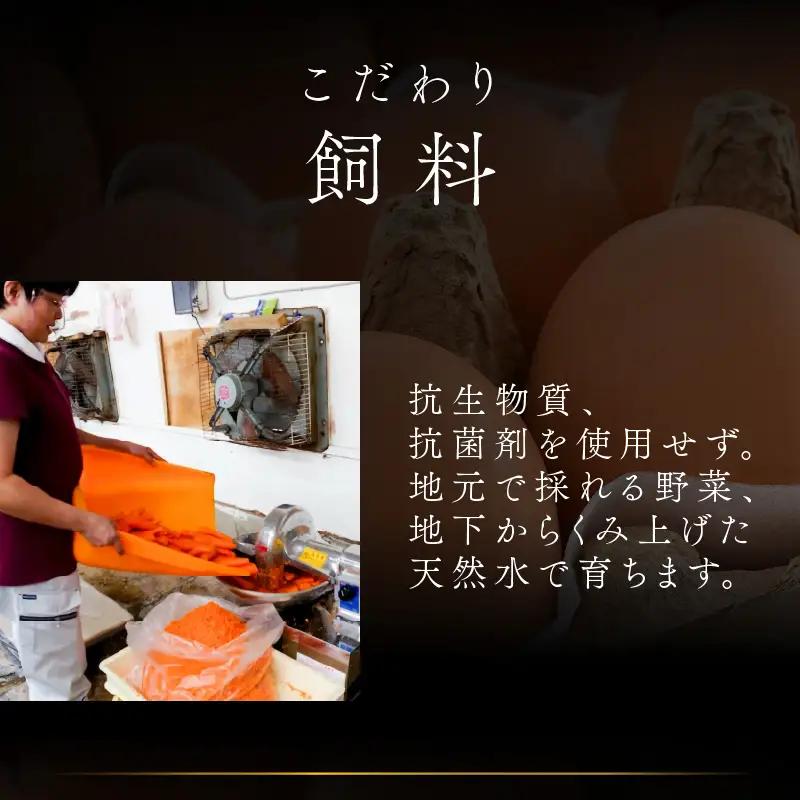 【6ヶ月連続お届け】 福井ブランド 「福地鶏」 の卵 20個 濃厚で甘くておいしい！  定期便 ／ 卵 たまご 鶏卵 生卵 有精卵 高級 高級卵 福地鶏 鶏 平飼い 美味しい こだわり 6ヶ月 定期便