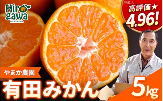 有田 みかん 5kg M・L / 温州みかん 有田みかん 甘い 和歌山 柑橘 ※2026年12月上旬～翌年1月中旬に順次発送【ymk004-ml-5】