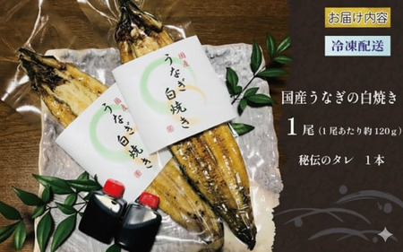 うなぎ 白焼き 1尾 白焼き
