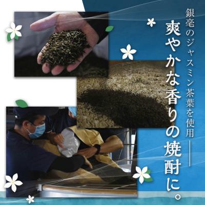 ふるさと納税 曽於市 ジャスミン焼酎 茉莉花(500ml×12本) |  | 02