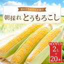 【ふるさと納税】朝採れとうもろこし 20本セット 2L(2024年9月より順次発送) 【 ふるさと納税 人気 おすすめ ランキング 夏のごちそう とうもろこし トウモロコシ コーン 旬 ゴールドラッシュ 糖度 甘味 焼きもろこし フルーツ 福島県 北塩原村 送料無料 】 KBJ007