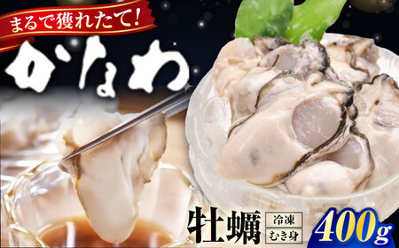 冷凍牡蠣むき身400g 牡蠣[XBP052]