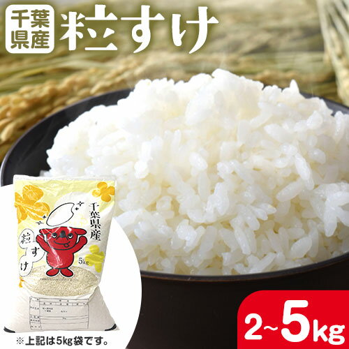【ふるさと納税】千葉県産 粒すけ 精米 選べる 内容量 2kg or 5kg《90日以内に出荷予定(土日祝除く)》千葉県 勝浦市 米 お米 千葉県産 精米【配送不可地域あり】