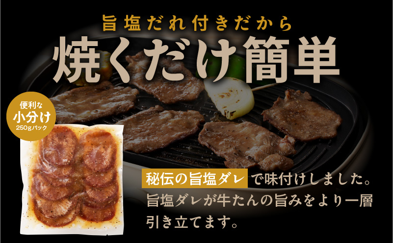 【氷温熟成×旨塩ダレ】牛たん 500g スライス 小分け 250g×2P 焼肉用 訳あり サイズ不揃い mrz0023