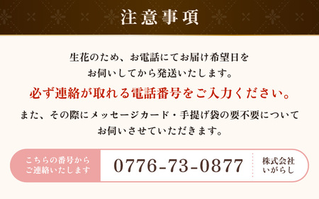 気分を変える花ギフト -Lucia- (花束・ミックス)／ 誕生日 母の日 父の日 クリスマス 結婚祝い 結婚記念日 サプライズ お祝い アレンジメント 花束 プレゼント 贈り物 フラワーアレンジメン