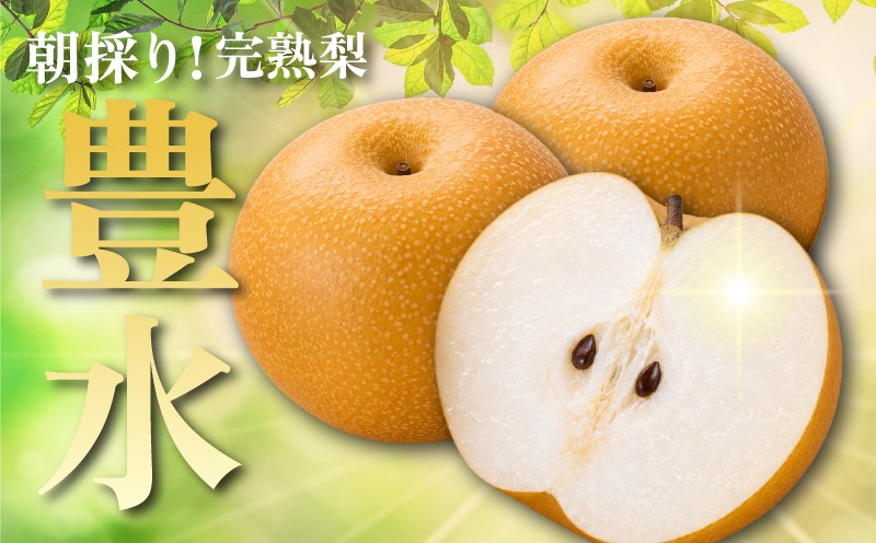 
                  【 数量限定 】 湘南産 完熟 梨 豊水 約 5kg なし ナシ 梨5kg 5キロ ほうすい 旬 梨 湘南 果物 果実 くだもの 甘い デザート フルーツ スイーツ huru-tu 果肉 果汁 数量 限定 先行予約 旬の果物 なし nasi 和梨 完熟 完熟梨 完熟果物 おすすめ 神奈川県 平塚市 伊藤苑
                