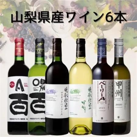 山梨県産ワイン6本セット　041【配送不可地域：離島】【1682272】