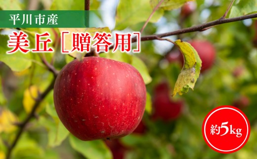 
                  【11月下旬～順次発送】贈答用美丘5kg【今井農園】≪hi-0064-013≫
                