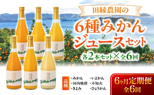 【6ヶ月定期便】田縁農園 6種みかんジュースセット 各2本セット×全6回 みかん いよかん 河内晩柑 不知火 きよみ ひょうかん  【ふるさと納税 人気 おすすめ ランキング ジュース みかんジュース オレンジジュース ミカン みかん オレンジ 温州みかん 伊予柑 河内晩柑 不知火 清見 ひょうかん フルーツ 果物 セット 詰合せ 贈り物 贈答 ギフト 愛媛県 伊方町 送料無料】 IKTA051 
