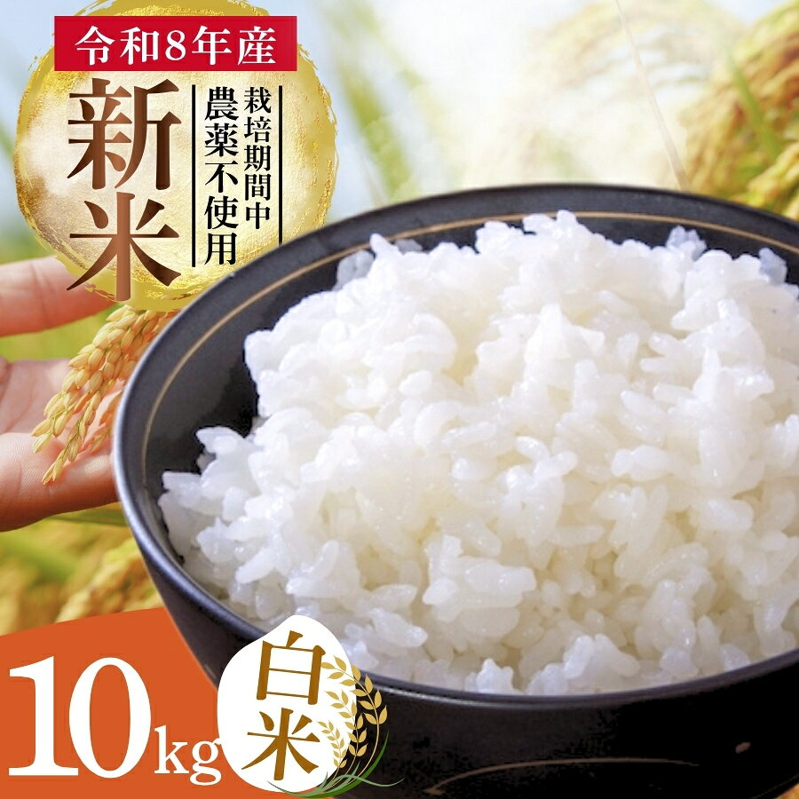 【ふるさと納税】吉田農林 通年合鴨農法米 うるち米 白米 10kg　天日干し【11月下旬より順次発送】　　　　　米 白米 うるち米 合鴨米 10kg 10キロ アイガモ農法 合鴨 農薬不使用 静岡県 伊豆松崎