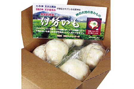 TB-01　伊勢いも皮むいちゃいました！皮むき済み真空パック