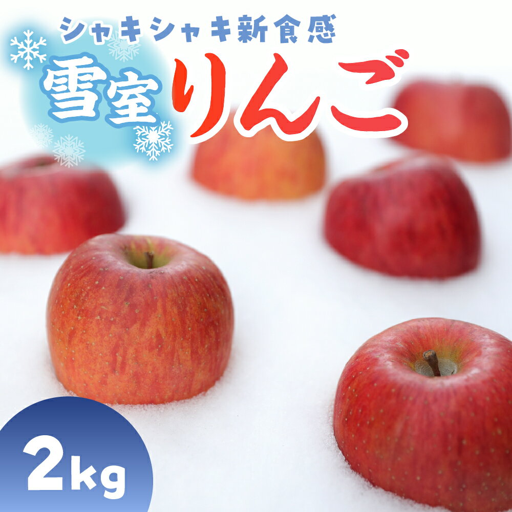 【ふるさと納税】雪室りんご サンふじ 2kg 程度 (5～6個程度)【2026年3月上旬〜下旬 順次発送】 冷蔵便 お取り寄せ 果物 フルーツ くだもの リンゴ 林檎 デザート 東北 青森 2キロ ふるさと納税 りんご 一人暮らし 夫婦 五所川原市