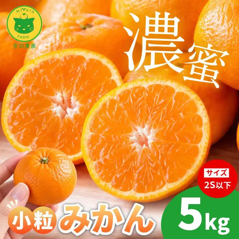 【2026年11月10日から発送】甘さ凝縮！濃蜜小粒 みかん 5kg 2S以下 小松島市