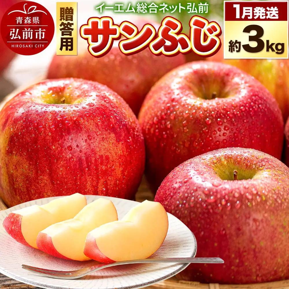 りんご サンふじ 贈答用 約3kg【1月発送】りんご