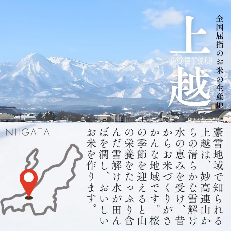 上越市産 新潟 特別米コシヒカリ　5kg 12か月定期便 上越市 精米 米 コメ こしひかり ブランド米