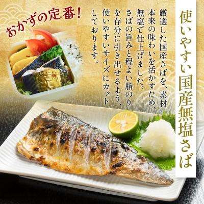 ふるさと納税 石巻市 訳あり 無塩サバフィレ 1.0kg (10枚前後) 冷凍 さば 鯖 不揃い 魚 お魚 焼き魚 |  | 01