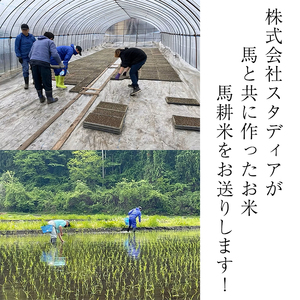 【 2026年 1月中旬より発送】 岩手県産 馬耕米 あきたこまち 精米 10kg ／【株式会社スタディア】 お米 米 白米 こめ コメ 馬ふん堆肥 使用 ご飯 ライス おにぎり 弁当 単一原料米 1