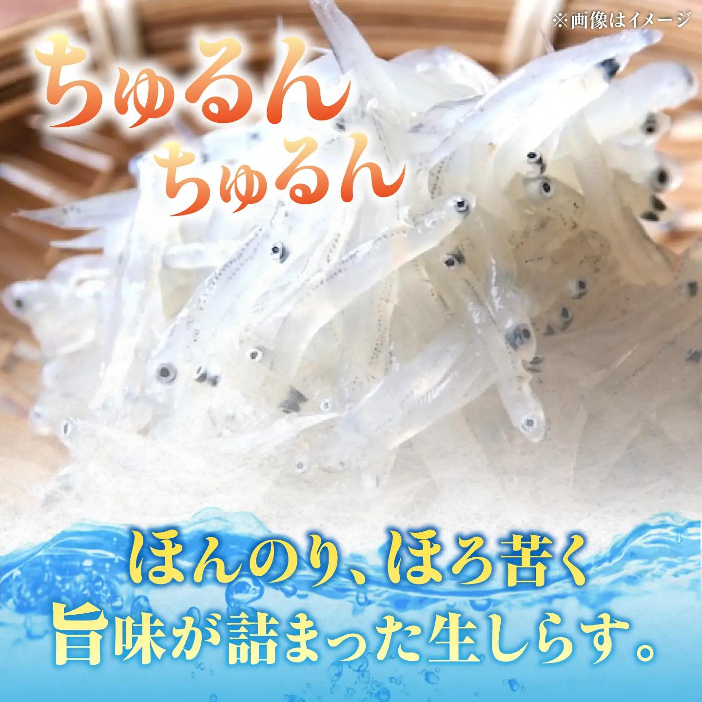 【全3回】冷凍生しらす50gX5個 しらす[XCN011]