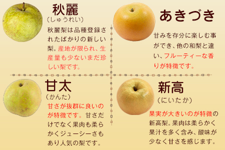 梨 熊本県産 玉東梨 約3kg 先行予約 上田果樹園 熊本 梨
