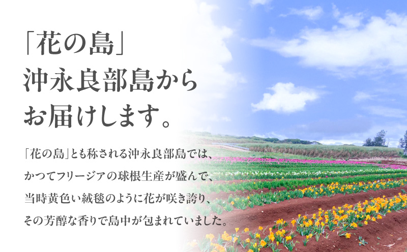 フリージア球根（黄色）1kg　C076-001-02