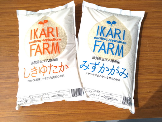 【新米】【6年産】「しきゆたか」「みずかがみ」詰め合わせセット　白米【10kg（5kg×2品種）】【C022U】