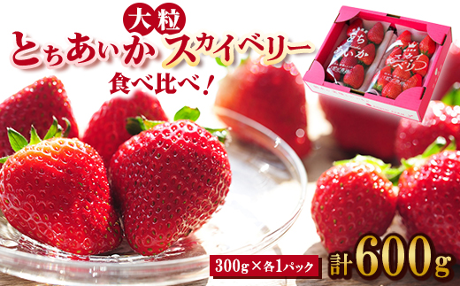 【春イチゴ】 食べ比べ!大粒『スカイベリー』、『とちあいか』300g×1パックずつ【配送不可地域：離島】