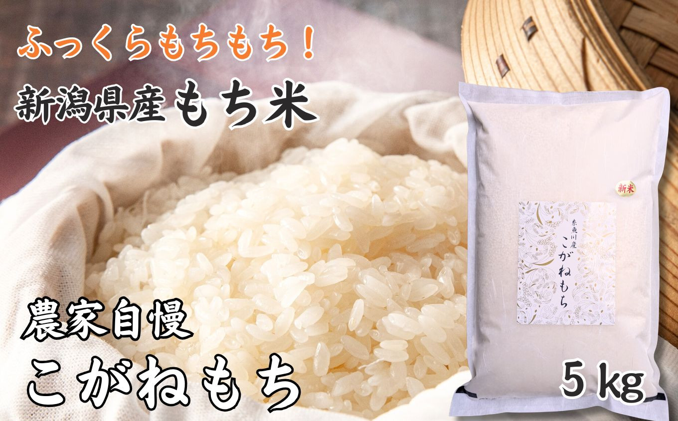 
                  令和8年産新米 もち米『こがねもち』 5kg  新潟県産 糸魚川市 つやつやモチモチ もち米ならではの芳醇な香り 百姓や伝六 1等米【新潟米 餅 赤飯 おこわ ふるさと納税 米 ブランド米 黄金餅 2026】
                