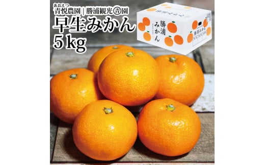 青悦農園 勝浦早生みかん S-LLサイズ 秀品 5kg