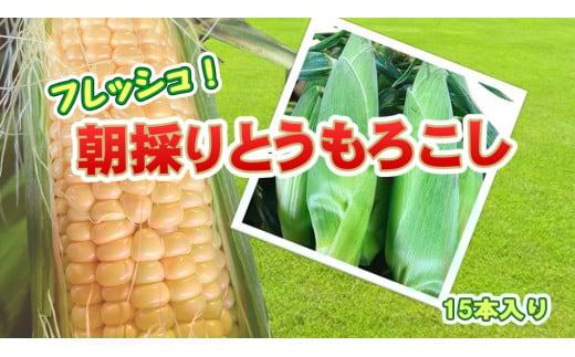 【予約受付 2025年7月中旬頃～発送開始予定】北上産のとうもろこし　15本