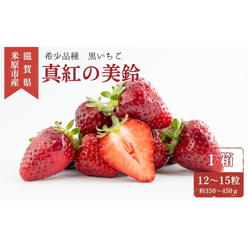 希少品種黒色 いちご「真紅の美鈴（しんくのみすず）」黒いちご 本州限定 苺 イチゴ 果物 フルーツ