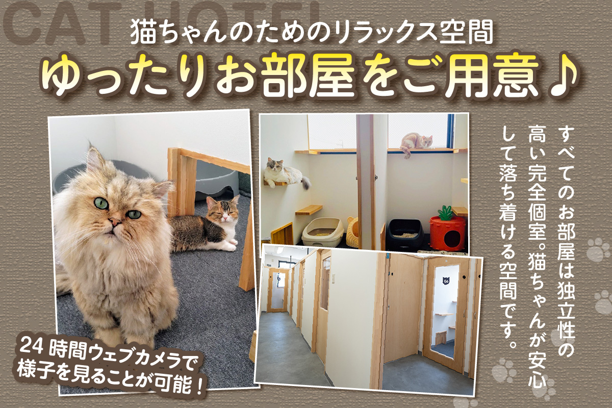CAT HOTEL & TRIMMING　うぃんべる　宿泊利用券　1匹専用プラン│ペットホテル ペットと泊まれる 宿泊券 猫 キャット 猫ホテル 見守りサービス 猫専用ルーム 窓付き個室 見守りカメラ