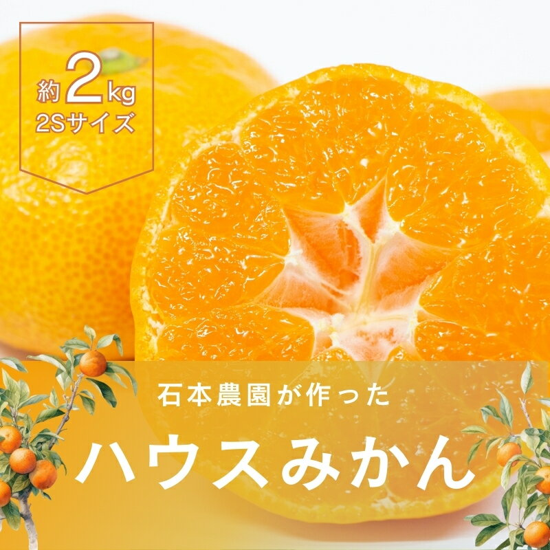 【ふるさと納税】 【予約受付】2Sサイズ 20玉〜25玉 石本農園のハウスみかん 約2kg【2025年7月上旬から下旬に順次発送】 / くだもの フルーツ 果物 みかん ミカン 蜜柑 ハウスみかん