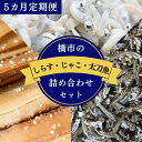 【ふるさと納税】【5カ月定期便】橋市の詰め合わせセットM（釜揚げしらす500g・じゃこの佃煮300g・太刀魚のみりん干し500g）※北海道・沖縄・離島配送不可 / 干物 味醂干し おつまみ ご飯のお供 シラス 冷蔵 お取り寄せ 和歌山県 田辺市