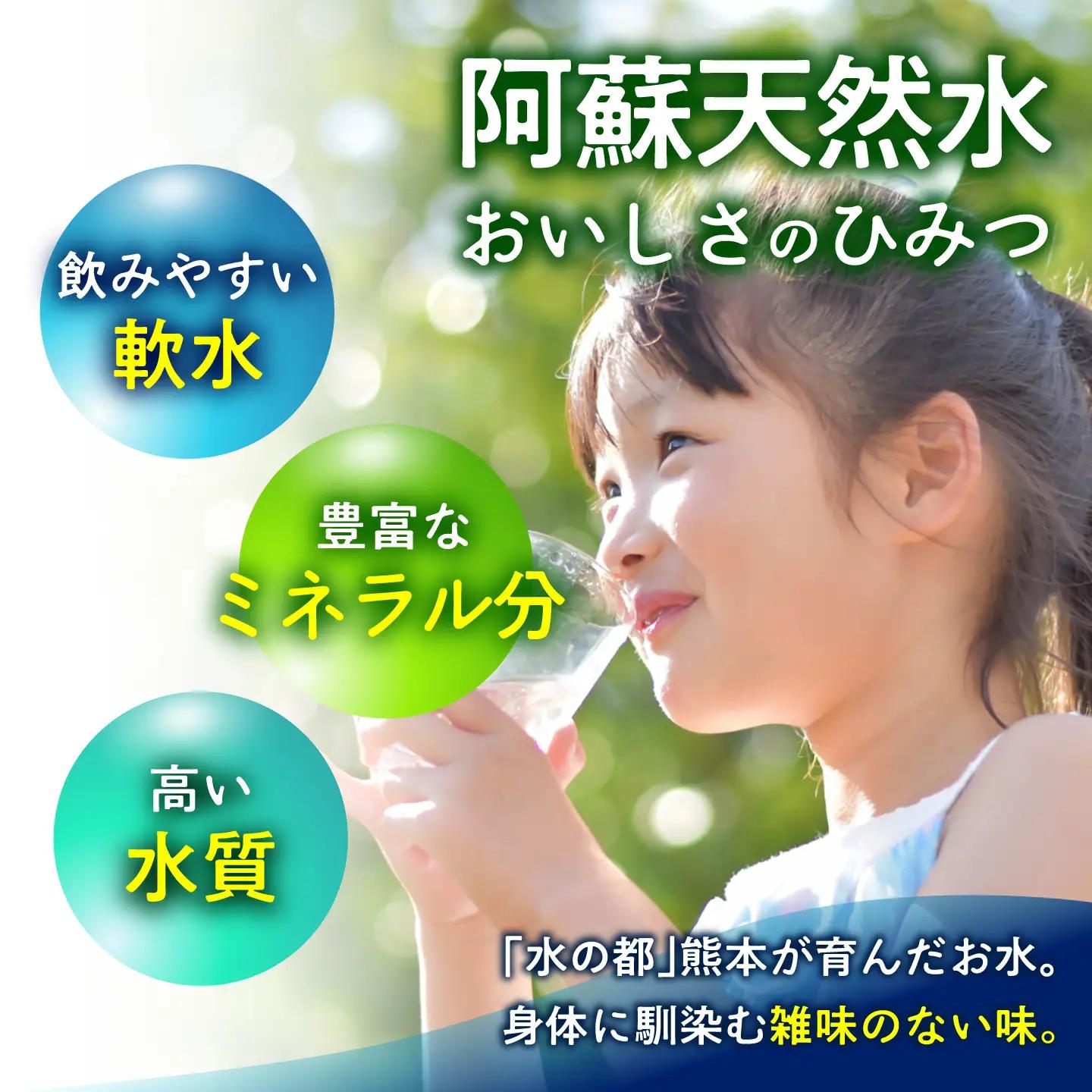 熊本 阿蘇山天然水 500ml × 24本 2ケース（計48本） 天然水 水 ミネラルウォーター 保存 2年 【丸富産業株式会社】[AYDB003]