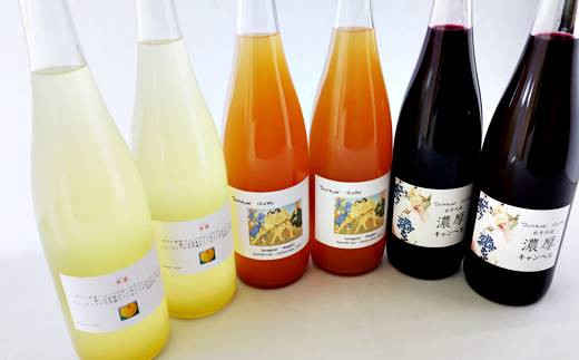 
ぶどう農家の果汁100％ストレートジュース（りんご、ぶどう、コラボ） 3種類6本（720ml）セット 【554】
