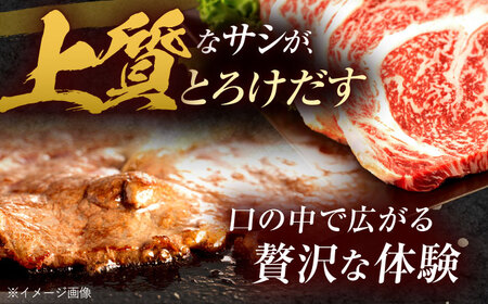 長崎和牛 サーロインステーキ 600g（200g×3枚）/ 牛肉 ぎゅうにく 肉 和牛 国産牛 サーロイン ステーキ すてーき&nbsp;/ 諫早市 / 西日本フード株式会社[AHAV009]