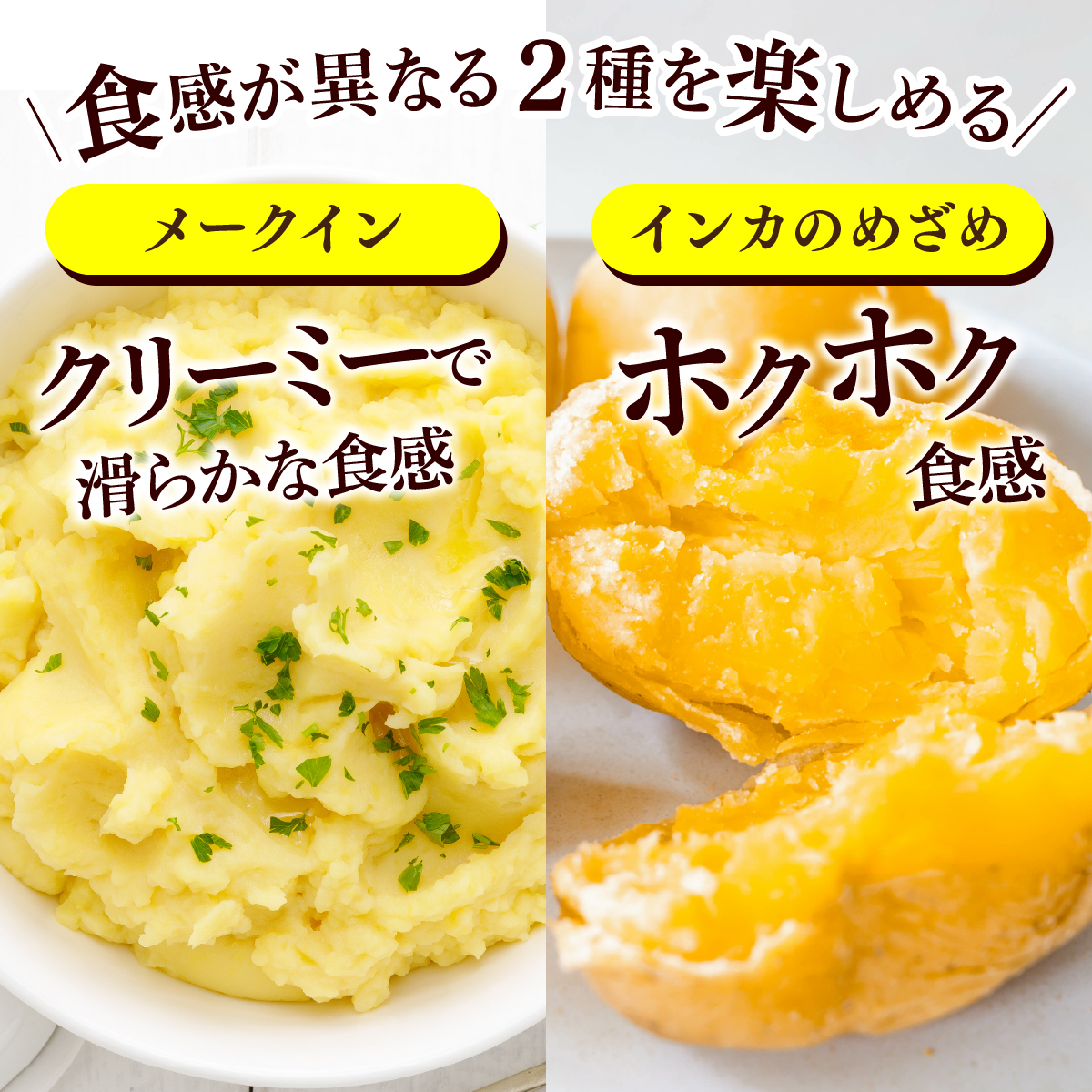 やまけんや じゃがいも 2種 計5kg メークイン インカのめざめ いも 芋 イモ ジャガイモ  馬鈴薯  甘い 旬 農作物 野菜 ほくほく ホクホク クリーミー なめらか 国産 お取り寄せ 常温 送