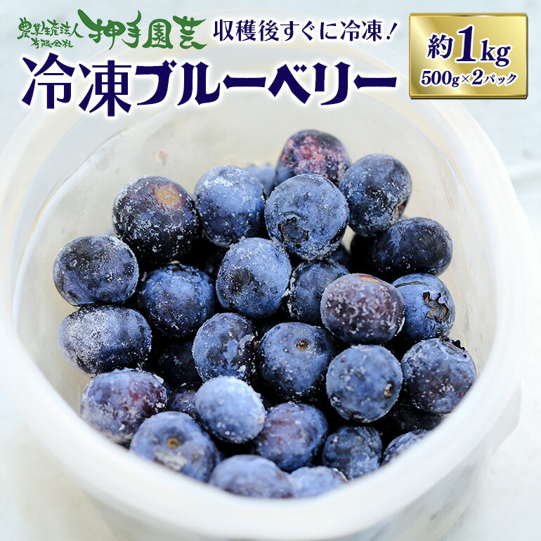 【ふるさと納税】冷凍ブルーベリー 約1kg ブルーベリー 冷凍 フルーツ 果物 くだもの 冷凍フルーツ 冷凍果物 完熟 新鮮 目にいい 健康 美容 人気 ギフト 贈り物 プレゼント 茨城県産 55-C