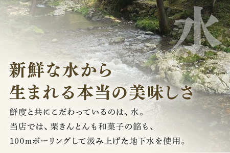 緑屋老舗 栗きんとん 栗金飩 15個入 創業明治5年